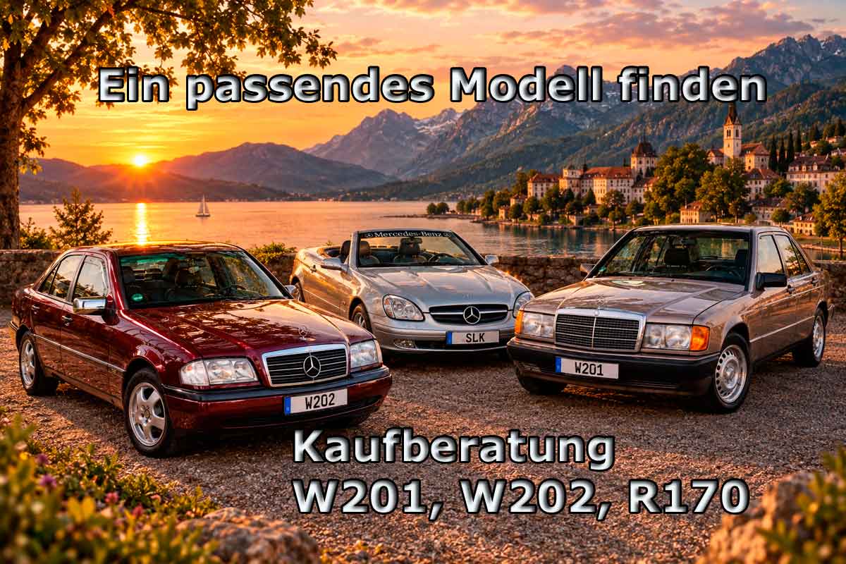 Ein passendes Modell finden W201, W202, R170